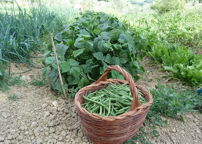 Séjour à la ferme Apparita